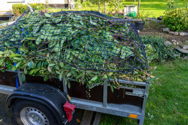 Recycling Services for Junk in Rapid City, MI